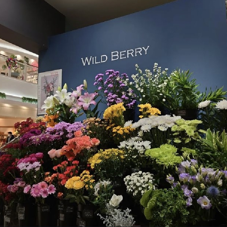 WILD BERRY エルム五所川原店